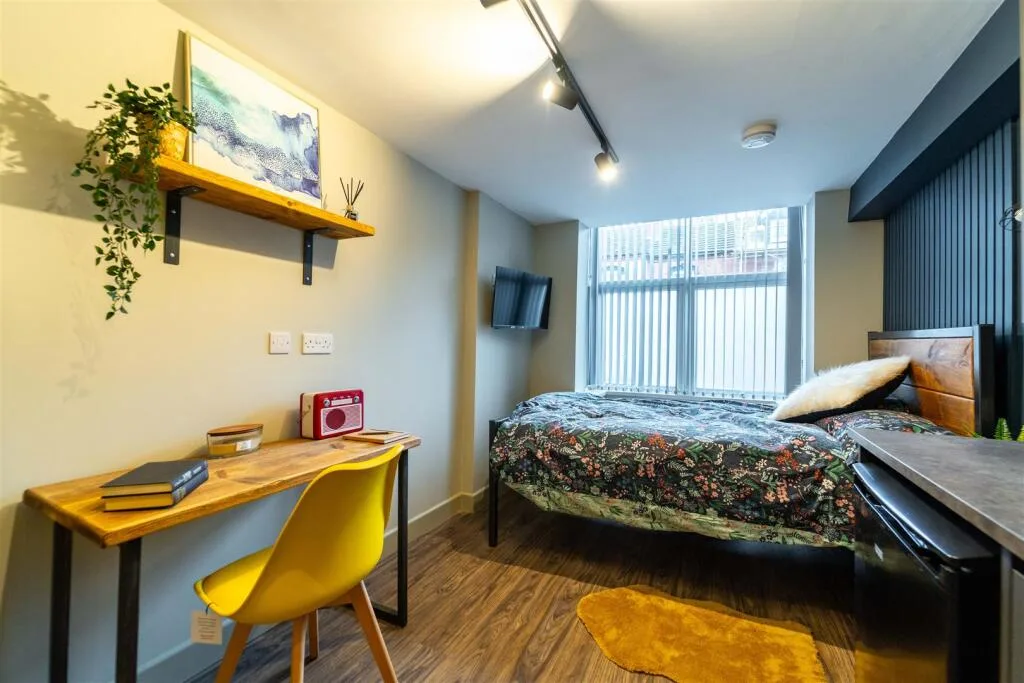 6 bedroom house for rent