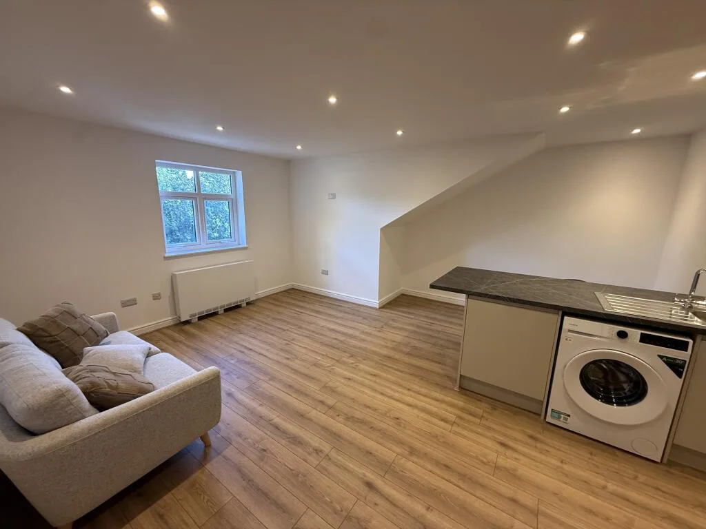1 bedroom apartment for rent