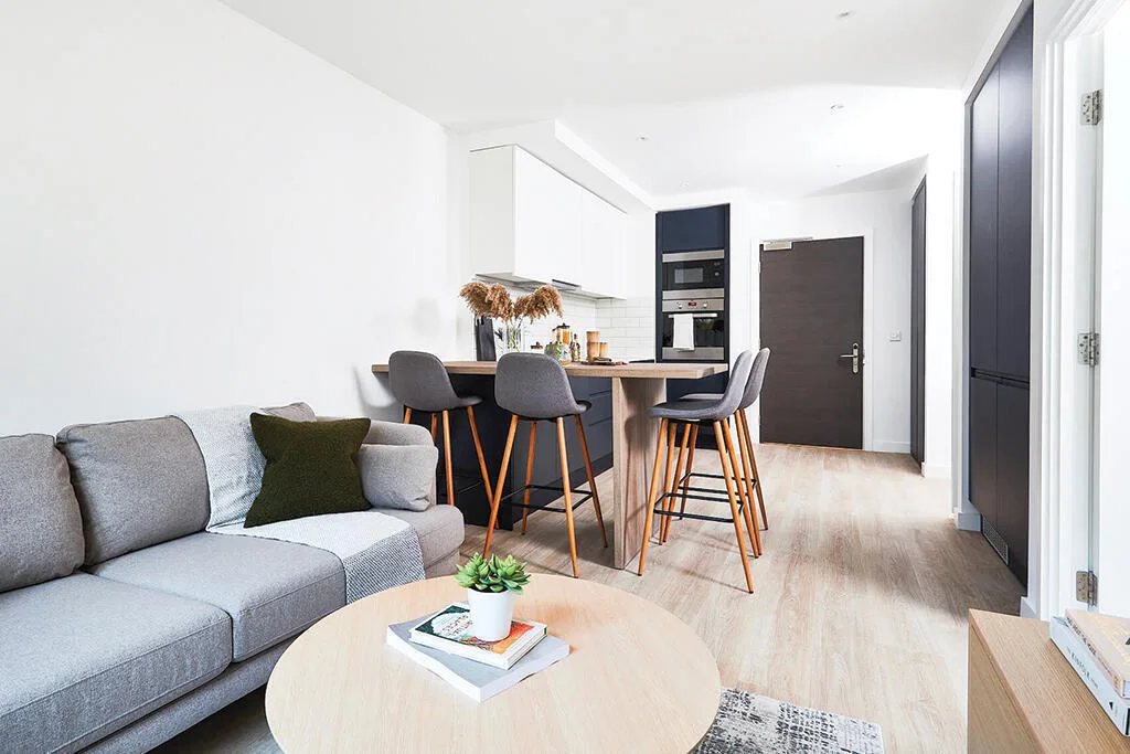 1 bedroom apartment for rent