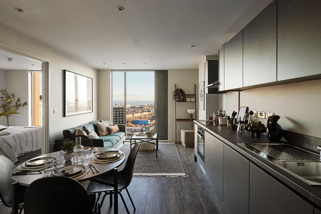 1 bedroom apartment for rent