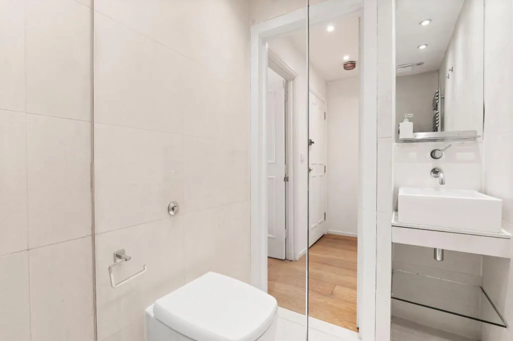 1 bedroom flat for rent