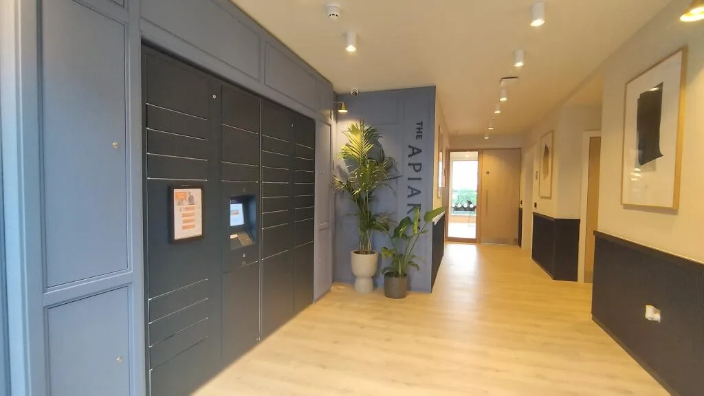 Studio apartment for rent