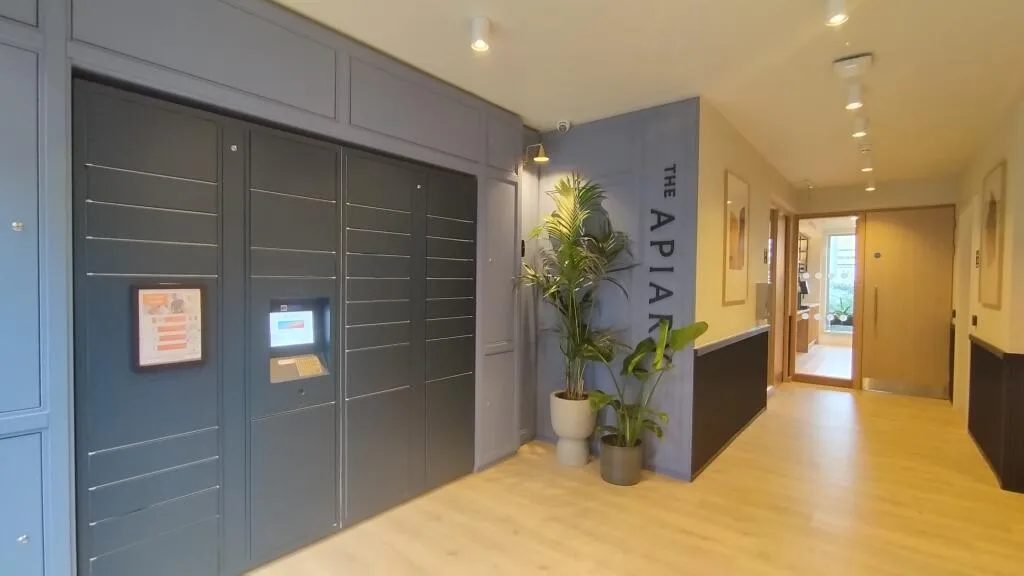 Studio apartment for rent