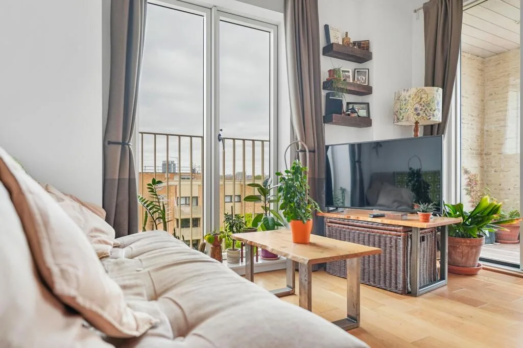 1 bedroom property for rent