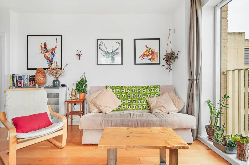 1 bedroom property for rent