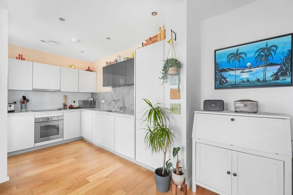 1 bedroom property for rent