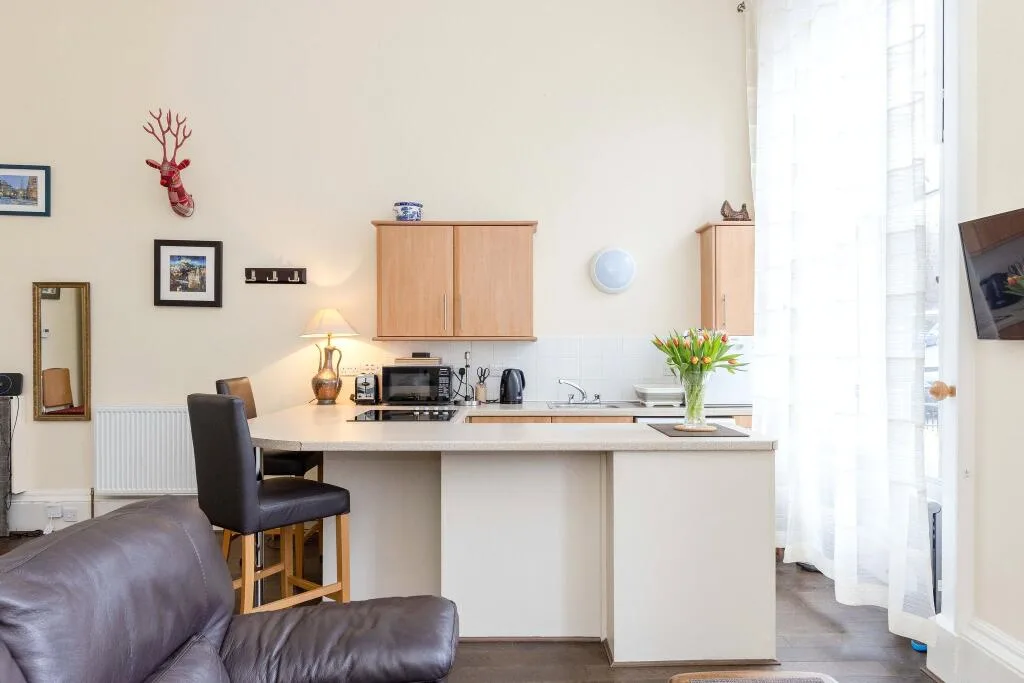 1 bedroom apartment for rent