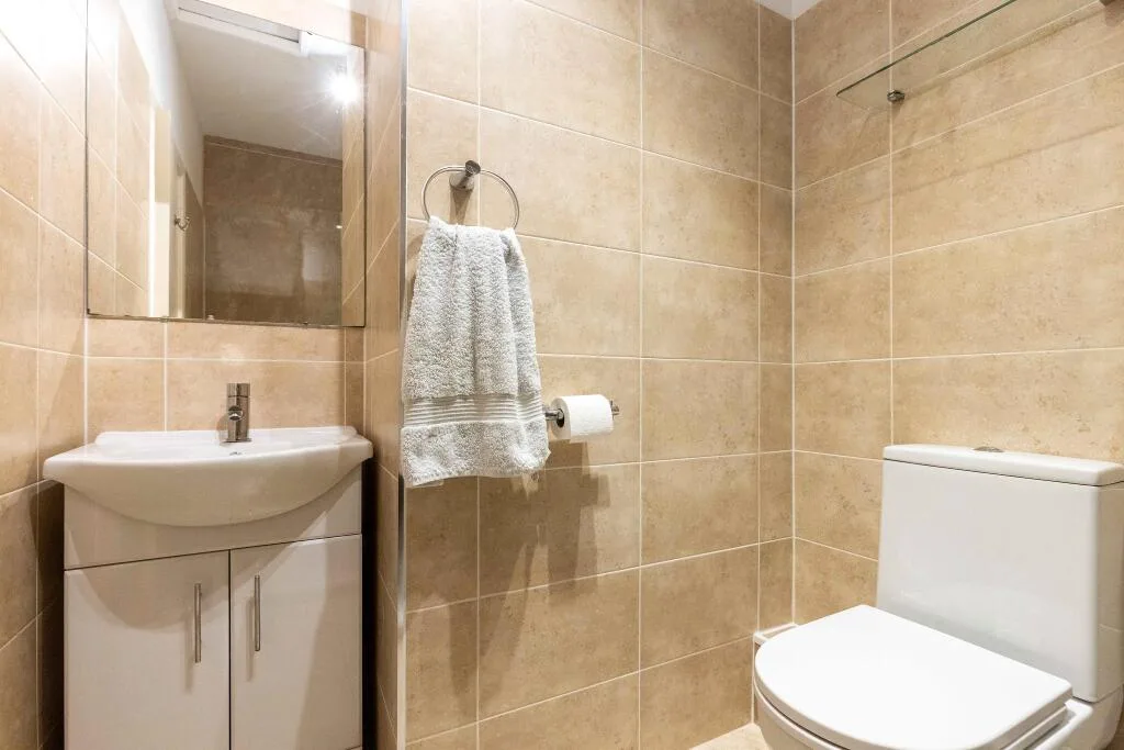 1 bedroom apartment for rent