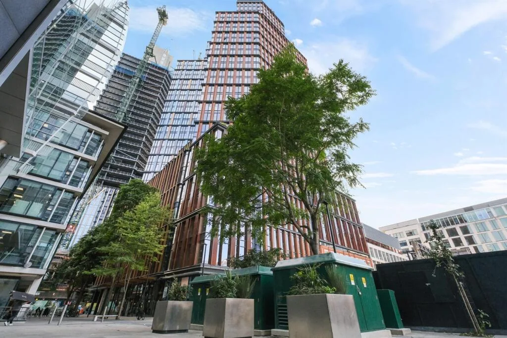 1 bedroom apartment for rent