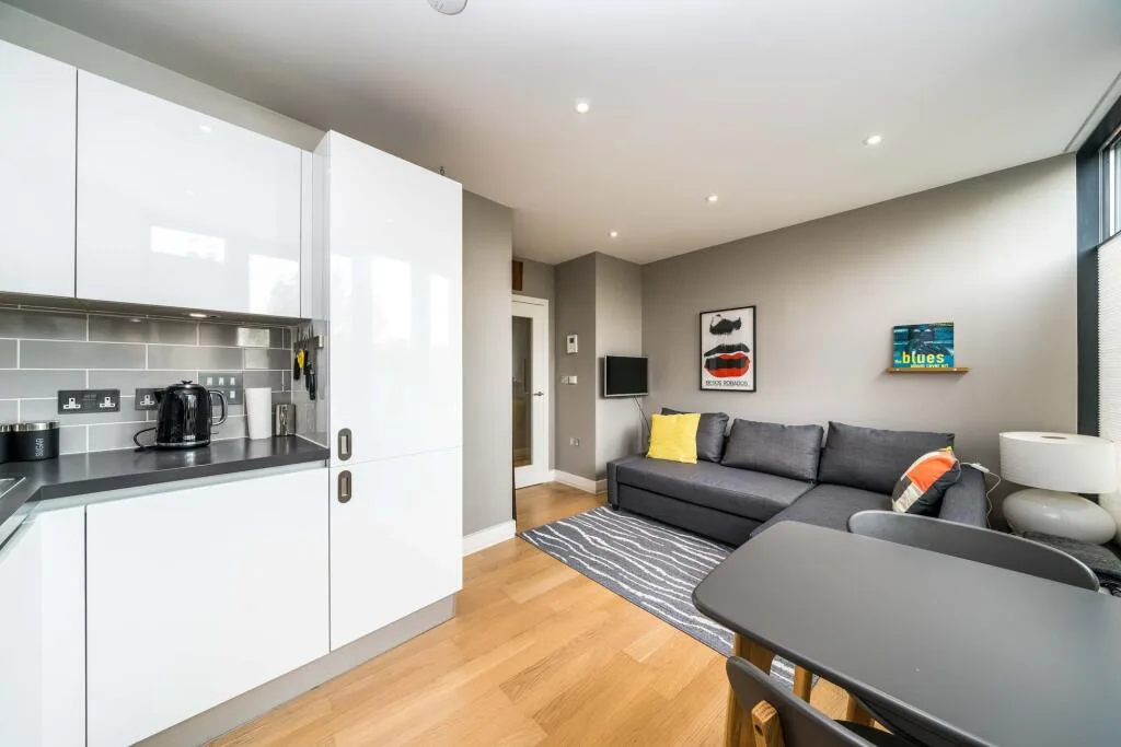 1 bedroom flat for rent
