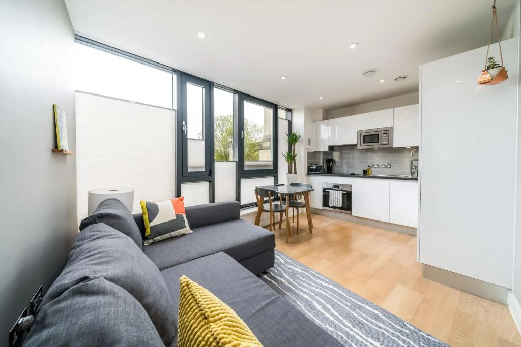 1 bedroom flat for rent
