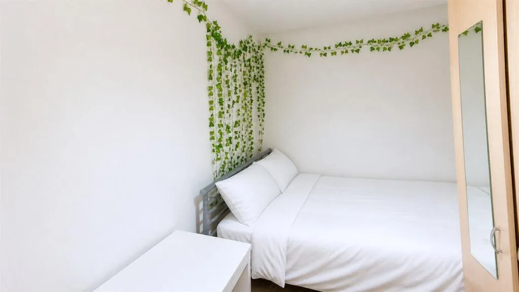 6 bedroom house for rent