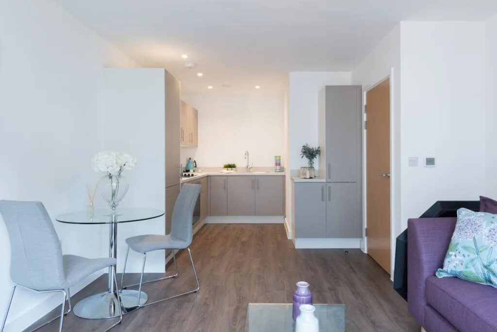 1 bedroom flat for rent