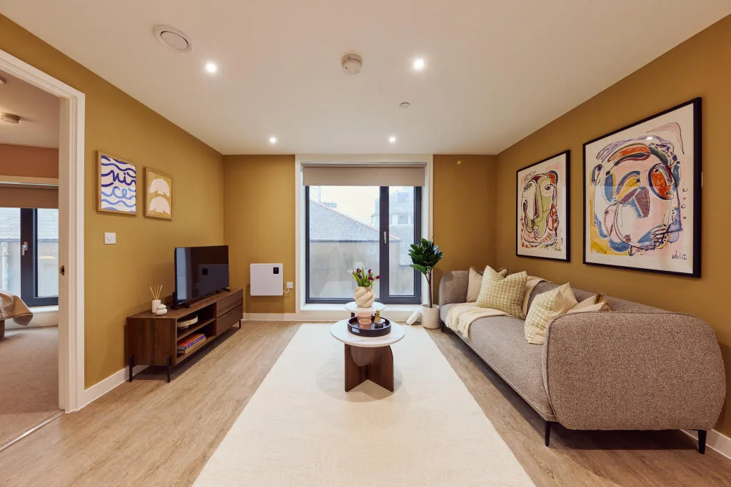 1 bedroom apartment for rent