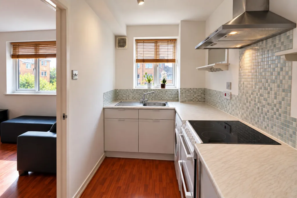 1 bedroom apartment for rent