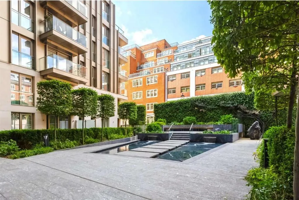 1 bedroom flat for rent