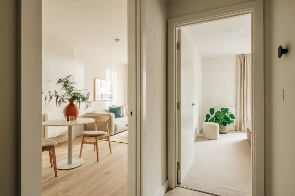 1 bedroom apartment for rent