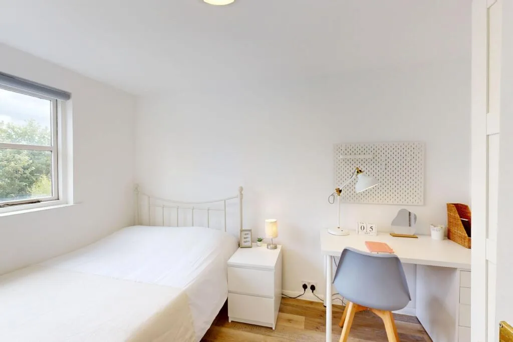 6 bedroom house for rent