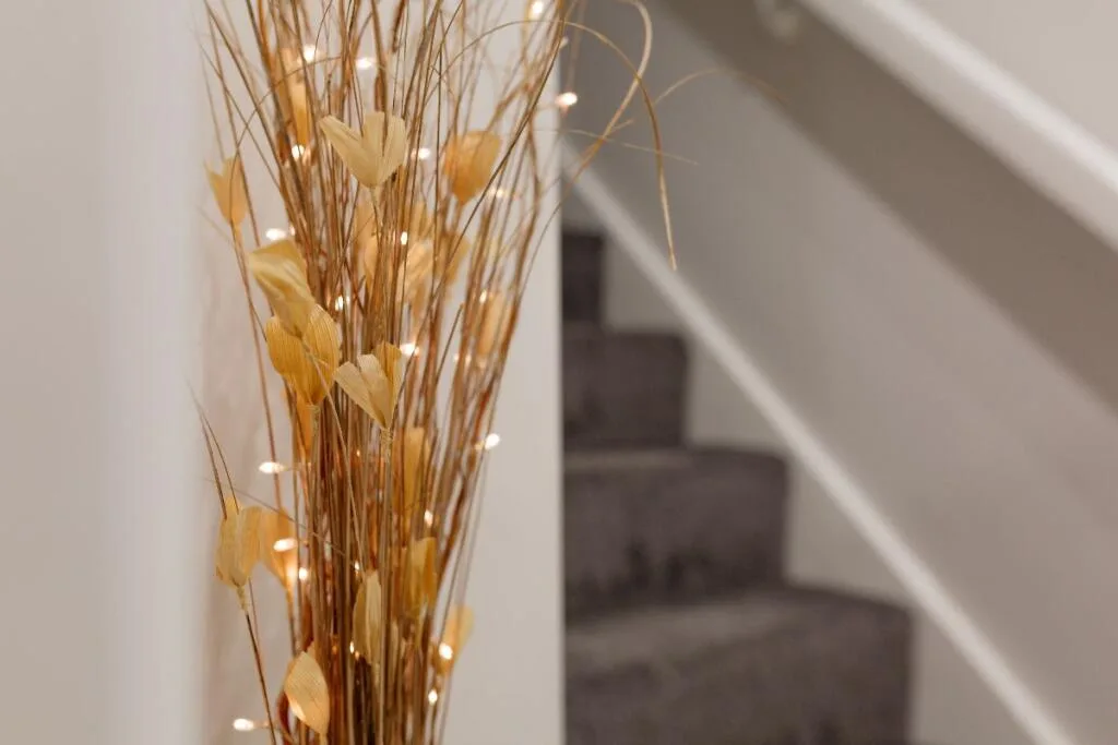 3 bedroom terraced house for rent