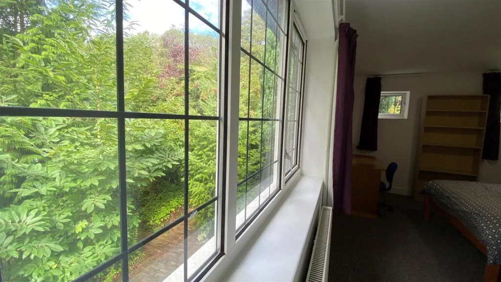 3 bedroom house for rent