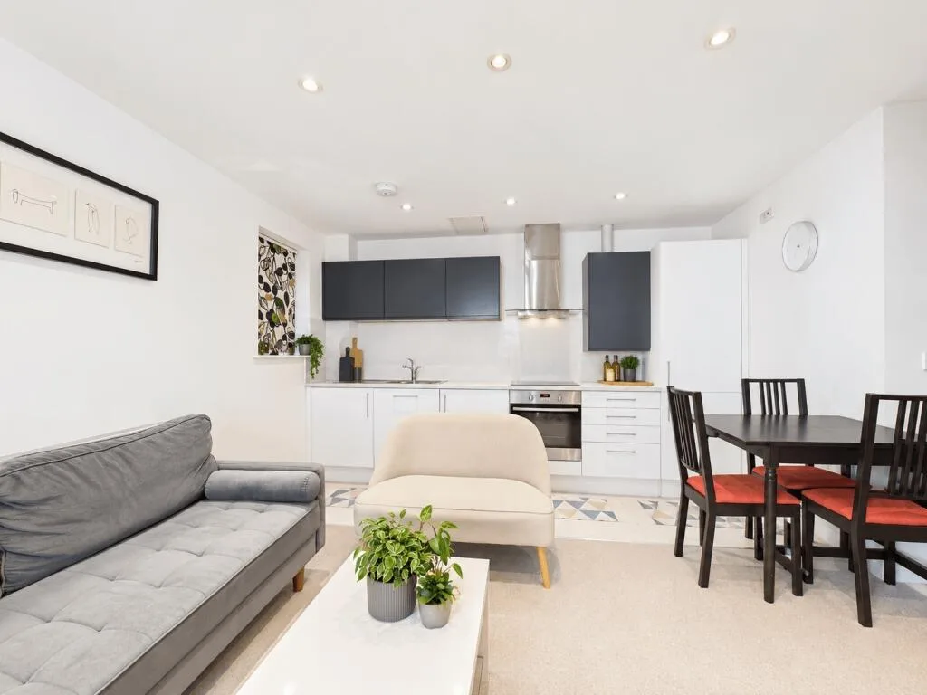 1 bedroom flat for rent