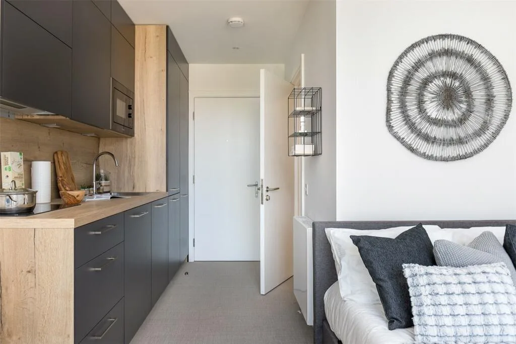Studio apartment for rent
