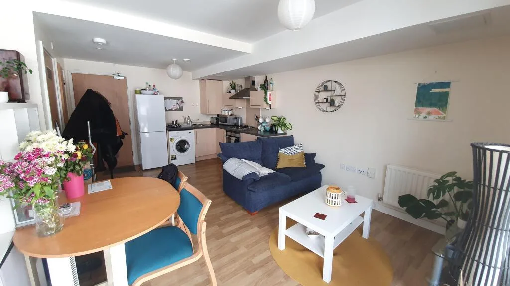 Studio flat for rent