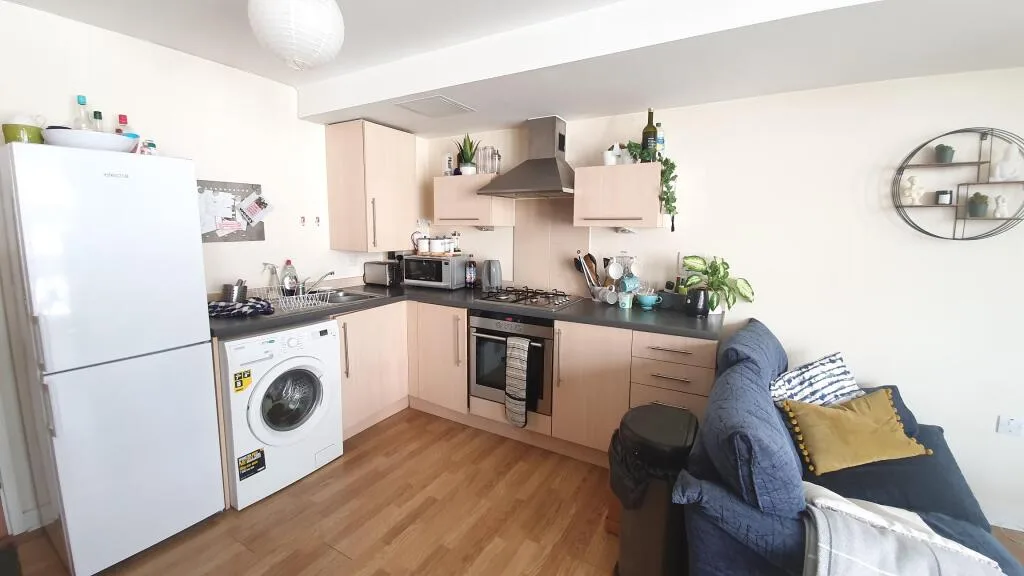 Studio flat for rent