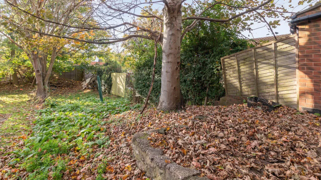 3 bedroom terraced house for rent