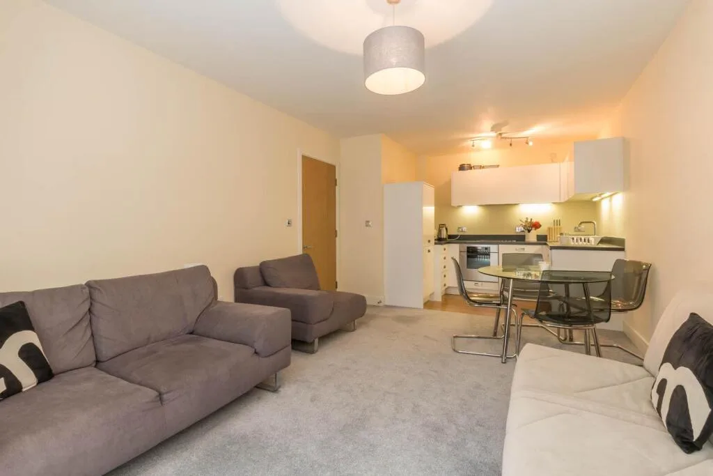 1 bedroom apartment for rent