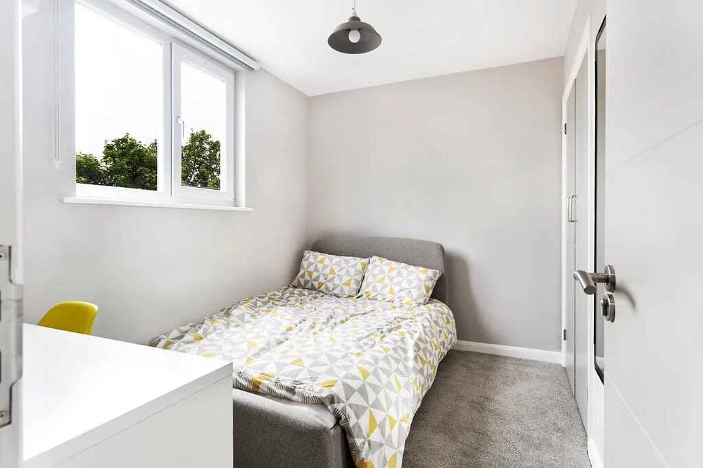 8 bedroom house for rent