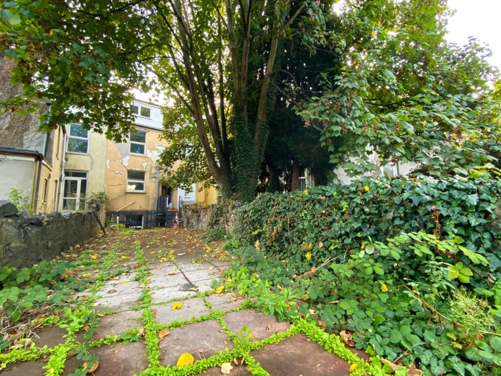 7 bedroom flat for rent