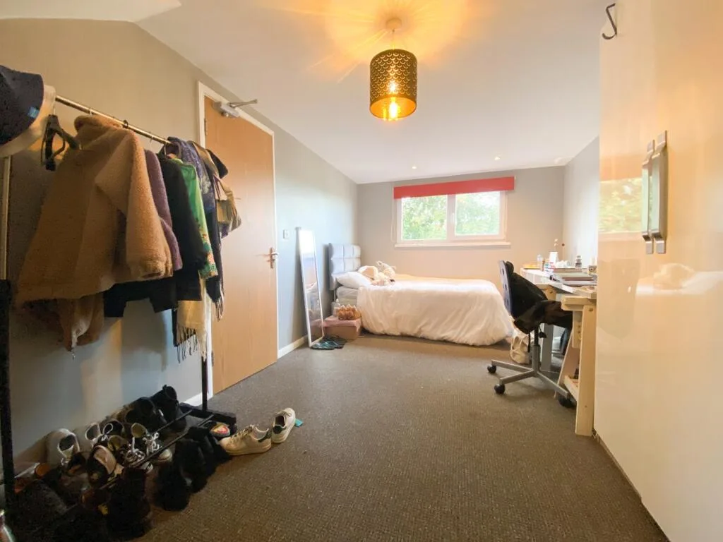7 bedroom flat for rent