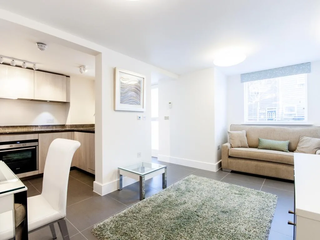 1 bedroom apartment for rent