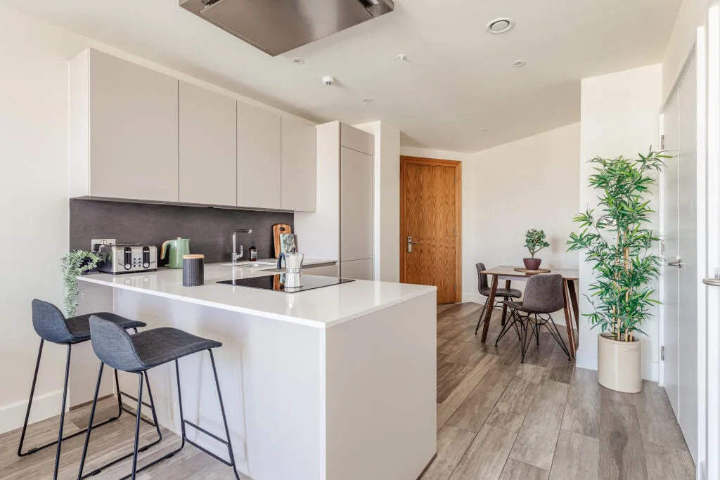 1 bedroom apartment for rent