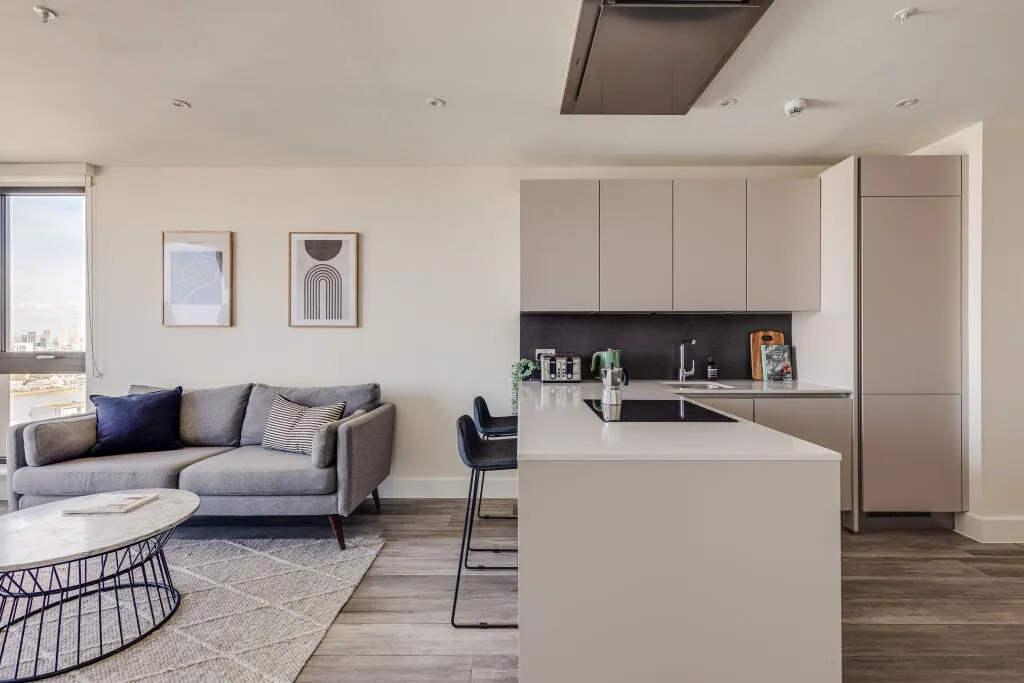 1 bedroom apartment for rent