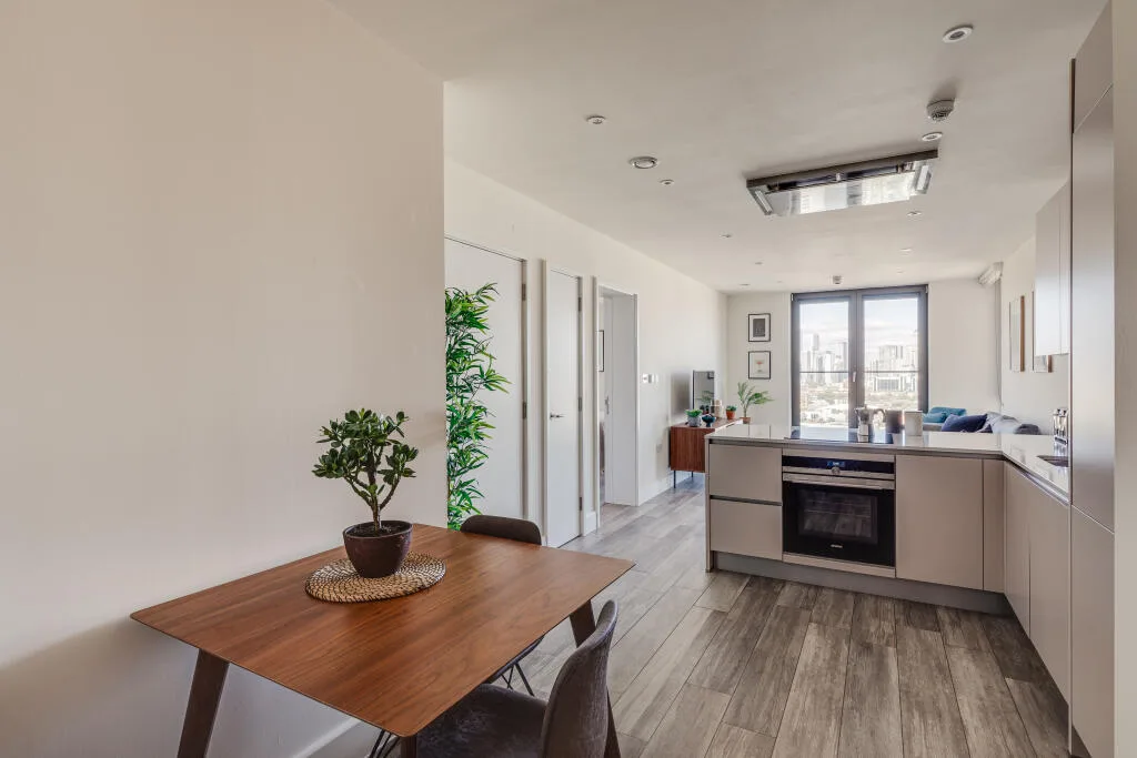 1 bedroom apartment for rent