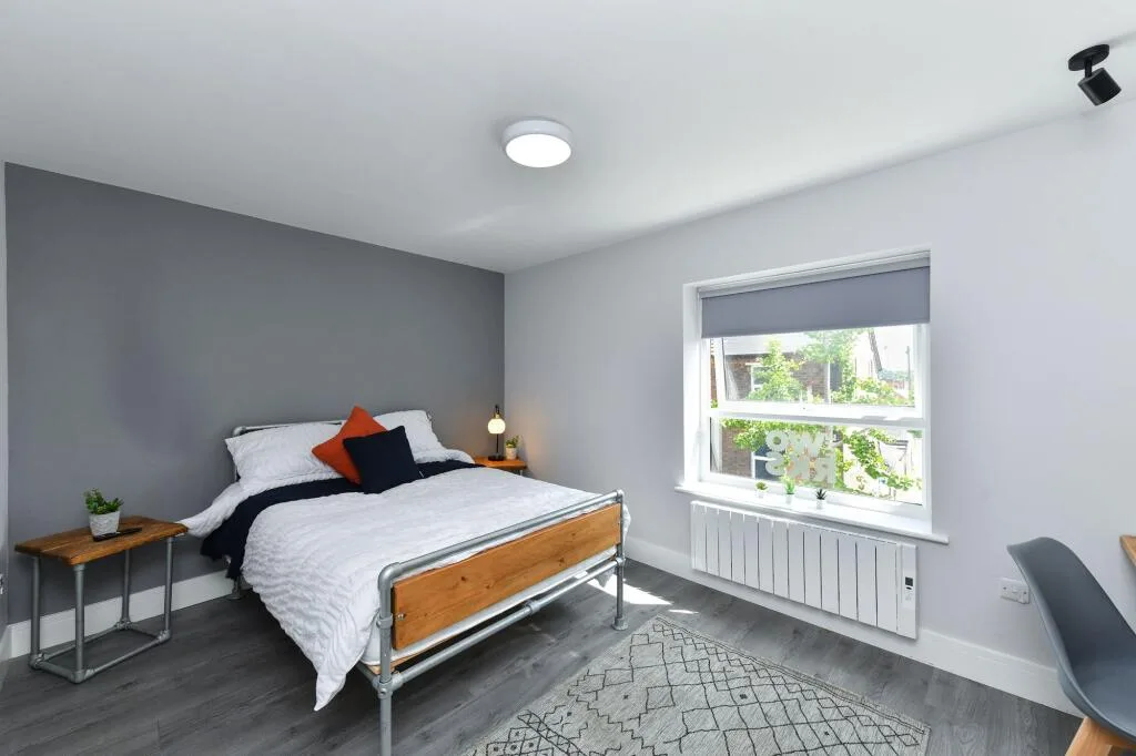 1 bedroom apartment for rent