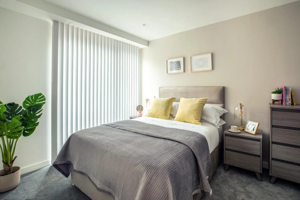 1 bedroom apartment for rent