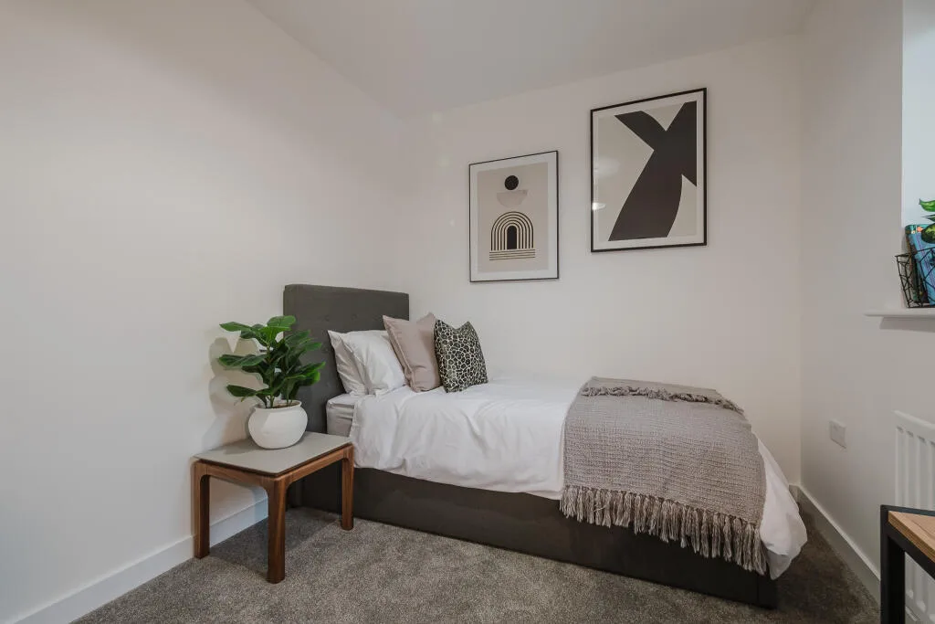3 bedroom house for rent