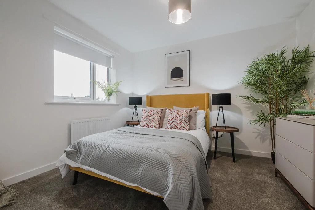 3 bedroom house for rent