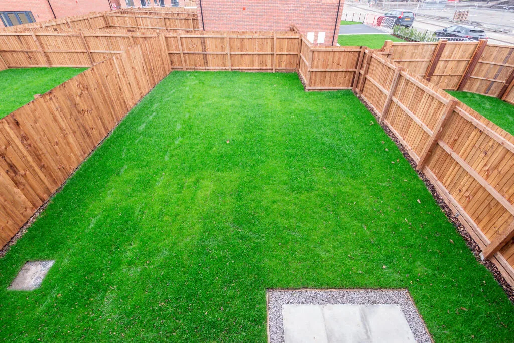 3 bedroom house for rent