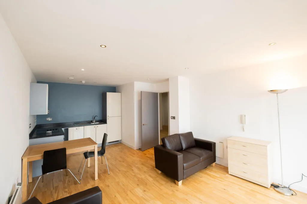 1 bedroom apartment for rent