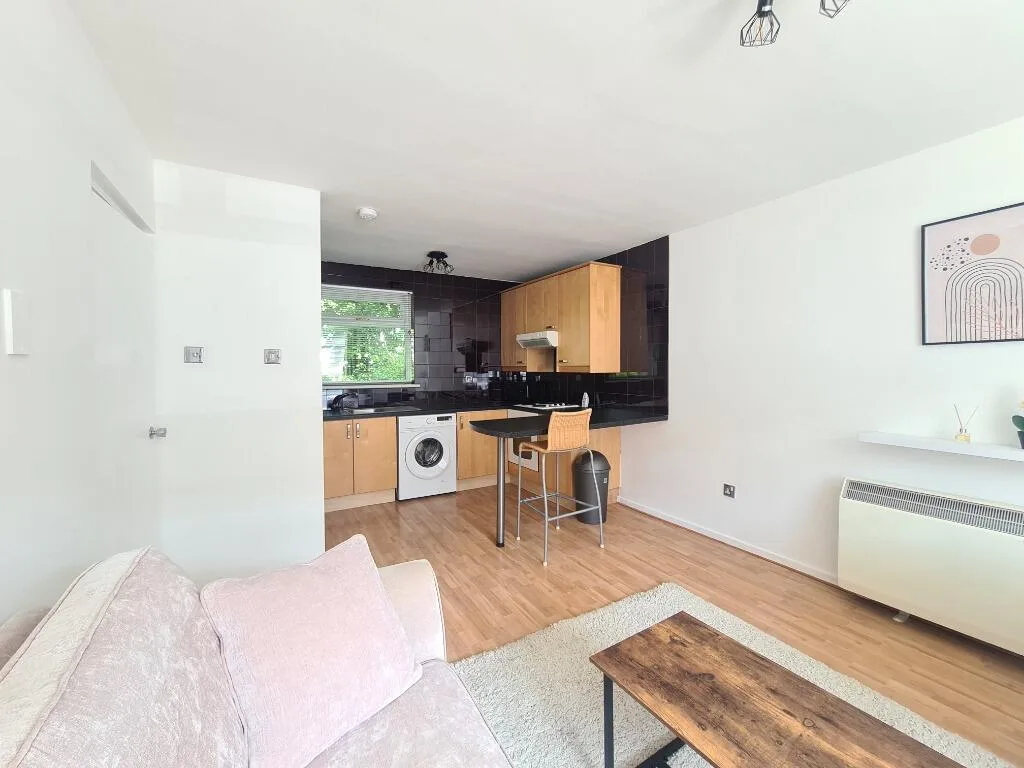 1 bedroom flat for rent