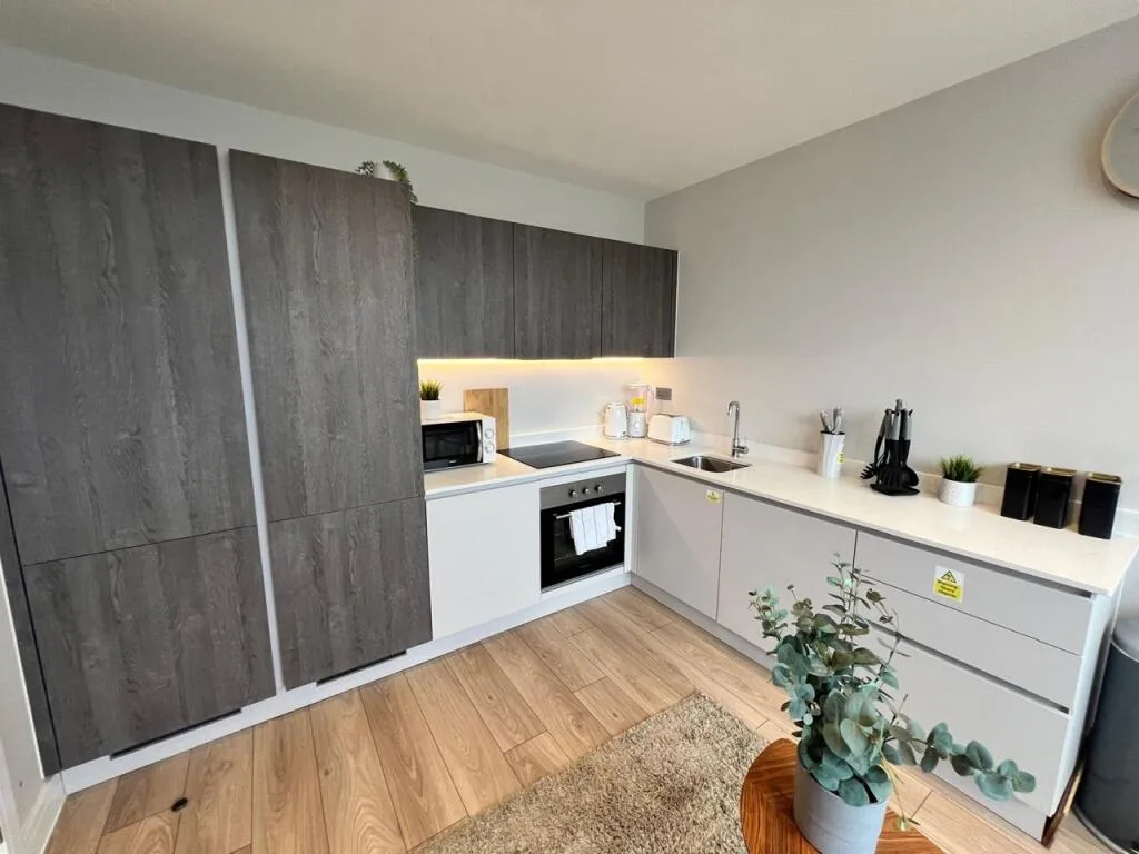 1 bedroom flat for rent