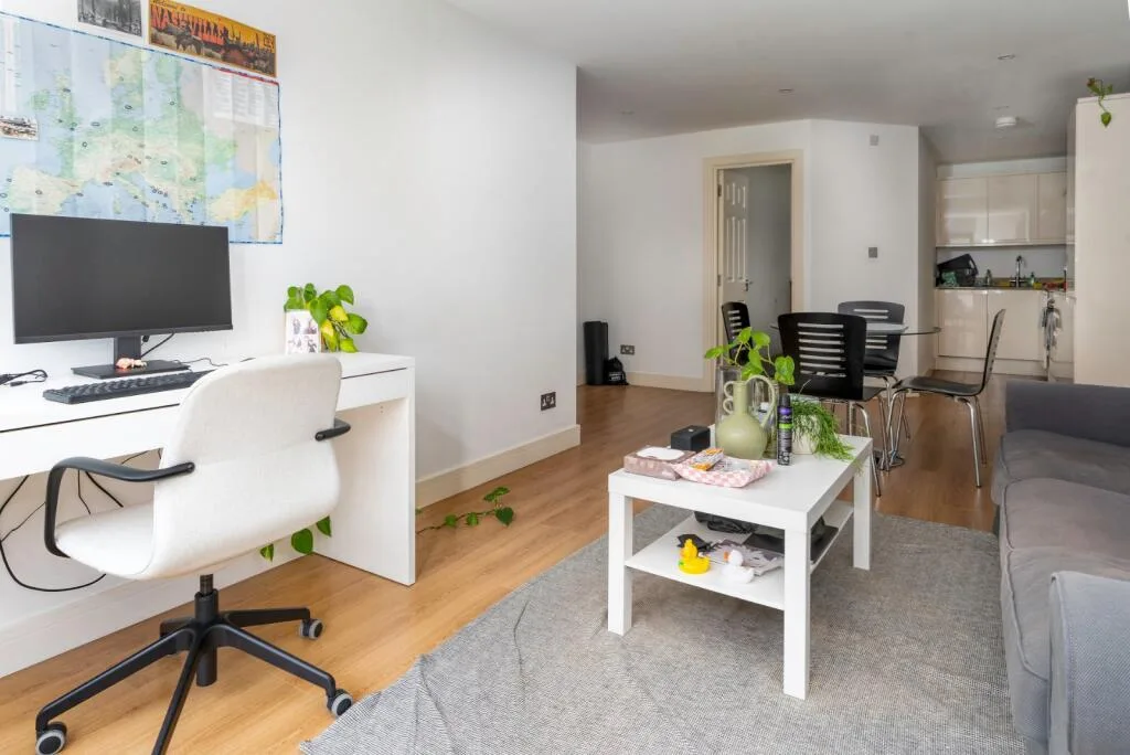 1 bedroom apartment for rent