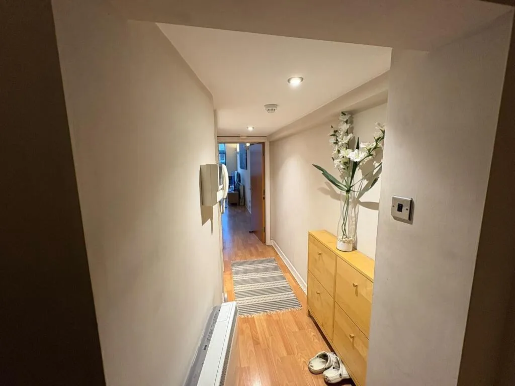1 bedroom flat for rent