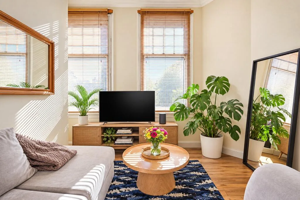 1 bedroom apartment for rent