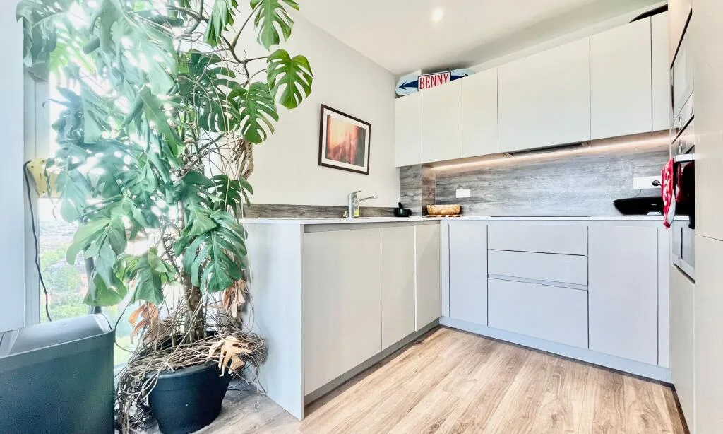 1 bedroom apartment for rent