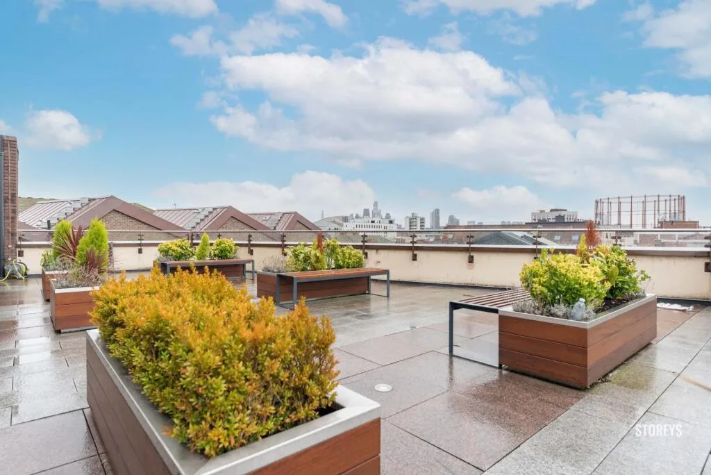 2 bedroom penthouse for rent